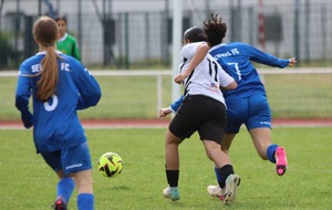 6a2176120d235_7160302711507151997867598385670094899567862n.jpg